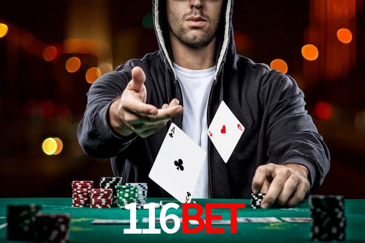 SSL Certificado 116bet